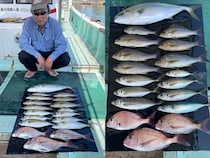 【釣果速報】和歌山県淡隆丸でマダイ、マアジ、イサキなど海の人気者を次々GET！多種多様な魚と出会いたいなら今すぐ乗船を！
