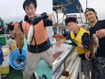 【釣果速報】神奈川県ゆうせい丸で高級魚カサゴが順調に上がる！今すぐ乗船してワンランク上の釣果を目指せ！