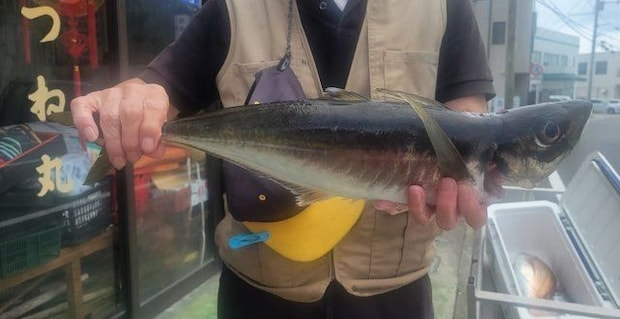 釣果
