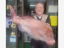 【釣果速報】神奈川県つね丸で6.15kgの迫力マダイゲット！アジ・キントキ・オジサンなども釣れて好調！この勢いに乗らなきゃ損！