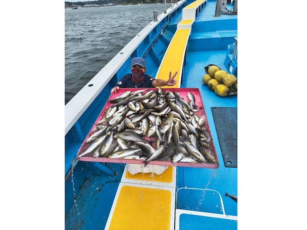 【釣果速報】神奈川県成銀丸のイサキの釣果がバズってる!竿頭100匹オーバー!釣れすぎて笑いが止まらない釣行を体験してみませんか?