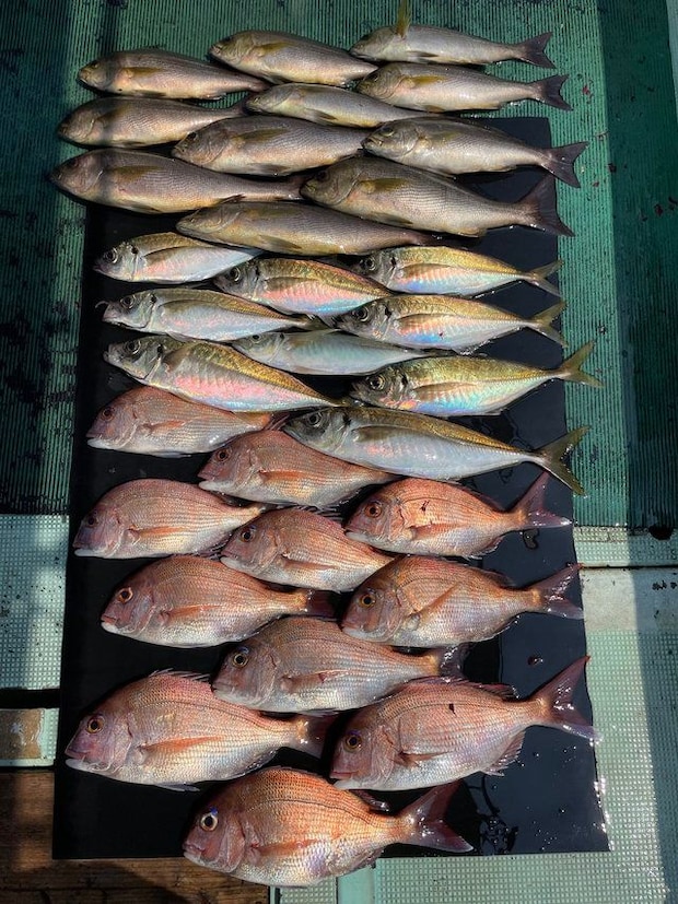 釣果