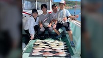 【釣果速報】加太の朝は下り潮で我慢 転流後にアジとイサキが出ました