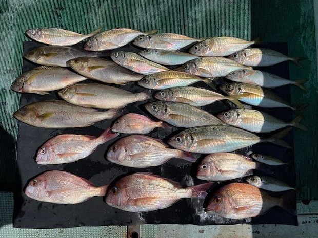 釣果