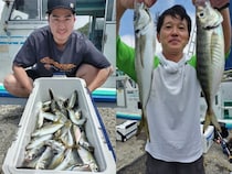 【釣果速報】千葉県勘次郎丸でアジ＆カマス絶好調！TOP69匹&59匹！アジ＆カマスの引きを味わえ！