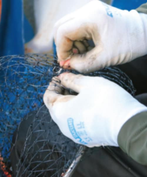 釣行の写真