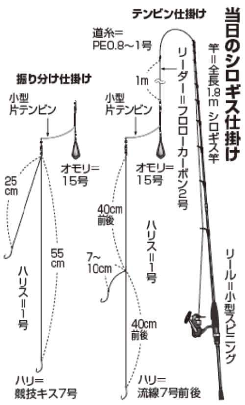 当日のシロギス仕掛け