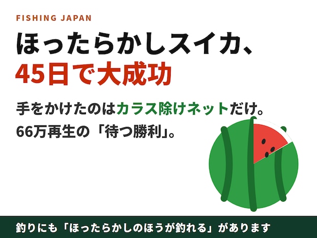 庭の「ほったらかしスイカ」が45日後、真っ赤な大成功——66万再生の家族動画に、釣り人が深くうなずく理由