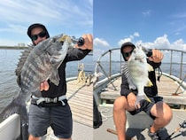 【釣果速報】千葉県林遊船でクロダイ・マゴチ・シロギスと人気魚種続々ゲット！いろいろな魚との出会いを楽しみたい人は即予約を！