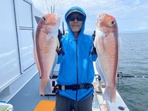 【釣果速報】神奈川県五エム丸でアマダイ・カツオGET！アマダイトップ10匹！憧れの超高級魚をその手でゲットせよ！