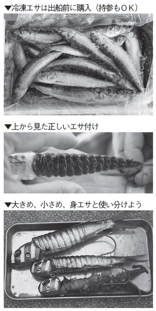エサの写真