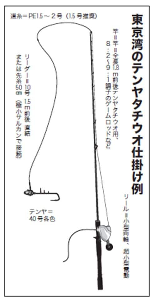 仕掛けの図