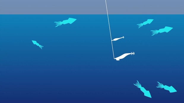 アシストリグの水中イメージ