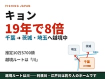 キョンが「19年で8倍・10万頭」千葉から茨城・埼玉へ越境中——ルートは利根川と江戸川、つまり釣り人の目の前です