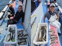 【釣果速報】神奈川県成銀丸でマアジがヒット！45cmとサイズも申し分なし！今後さらなる大物に出会えるかも！