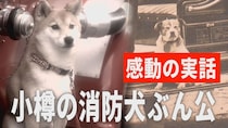 【北海道・小樽】出動命令に誰よりも早く反応！？昭和初期に実在した伝説のヒーロー「消防犬ぶん公」の知られざる感動秘話