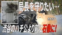 北海道にいた忠犬ポチ！ご主人のために吹雪の中、身を寄せて…涙で語り継がれる感動の話とは