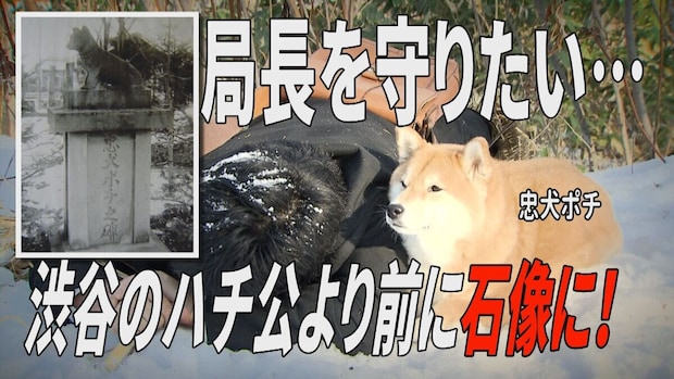 北海道にいた忠犬ポチ！ご主人のために吹雪の中、身を寄せて…涙で語り継がれる感動の話とは