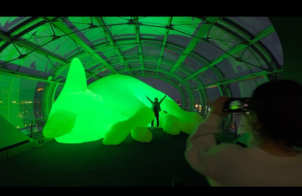 雪まつりで賑わう札幌市に巨大な光る猫！？大和ハウスプレミストドーム展望台に期間限定のアートが登場