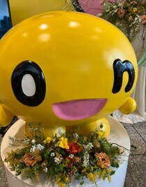 国際女性デー　札幌でミモザマルシェ開催！梅宮アンナさんトークイベントも。