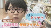 「もう家事でイライラしない！ダイソーの『タイパ最強グッズ』を徹底調査。名物キャラも絶叫した驚きの活用術とは？」