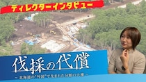 羊蹄山の麓でみつかった大規模な違法伐採…法令は？行政の対応は？そして外国人をめぐる分断の動き…取材で見えてきた課題とは　テレメンタリー「伐採の代償」ディレクターインタビュー
