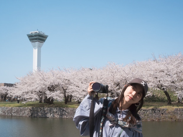 桜の名所・函館五稜郭で思い思いに楽しむ写真スケッチ