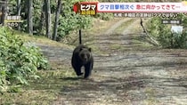 【衝撃の瞬間】「正直、怖かった」林道でヒグマが突如Ｕターン！車に向かって猛ダッシュする戦慄の一部始終