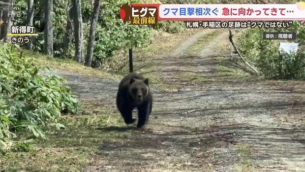 【衝撃の瞬間】「正直、怖かった」林道でヒグマが突如Ｕターン！車に向かって猛ダッシュする戦慄の一部始終