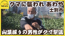 【九死に一生】突然現れたクマが覆いかぶさり…クマと格闘し撃退した男性が当時の状況を語る