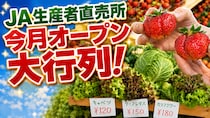朝採れの新鮮野菜が驚きの価格で！札幌市内に続々オープンするJA直売所の魅力とは