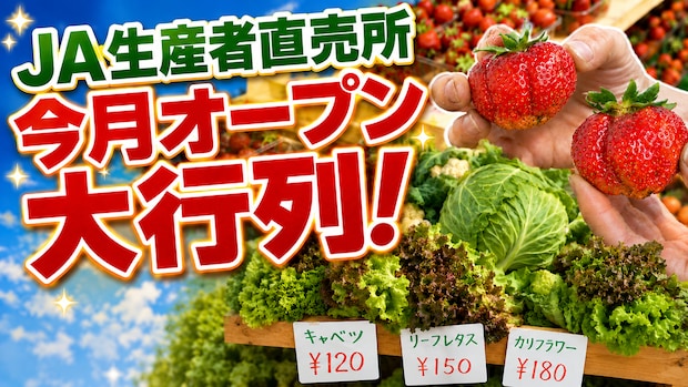朝採れの新鮮野菜が驚きの価格で!札幌市内に続々オープンするJA直売所の魅力とは
