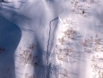 「雪崩から身を守るために」雪崩事故防止研究会（ASSH）が全国5会場で講演会を開催