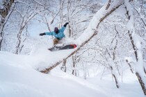 日本最大級のリゾート「ネコマ マウンテン」に、東京ドーム4個分のツリーランエリア誕生！