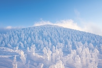 日本一滑っている気象予報士が解説｜今年の冬、雪はどうなる？