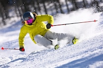 トップスキーヤー7人が語る──“ストックで変わる滑り”の真実