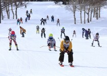 その一本が、野沢を特別にする。「はと車カップ」で出会う、もうひとつの野沢温泉