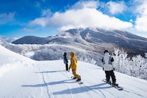 GWまで営業予定！ネコマの春限定シーズン券が販売開始│星野リゾート　ネコマ マウンテン