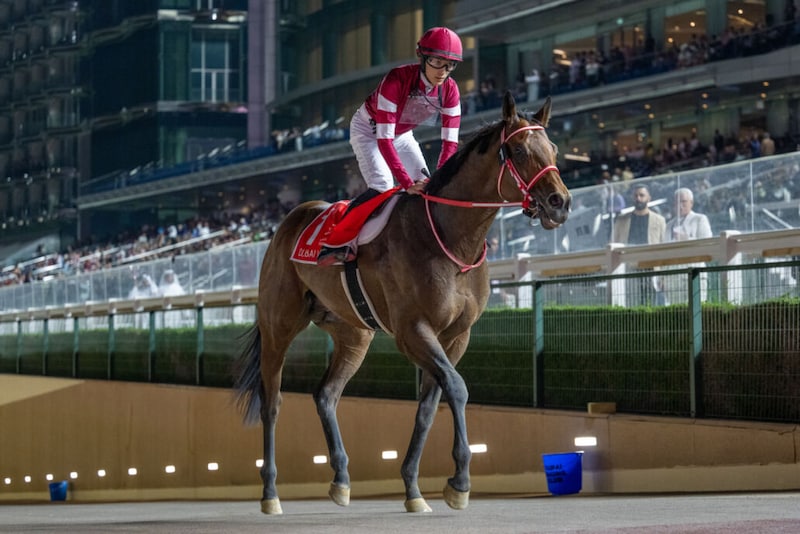 【日本テレビ盃】フォーエバーヤングは7枠7番へ