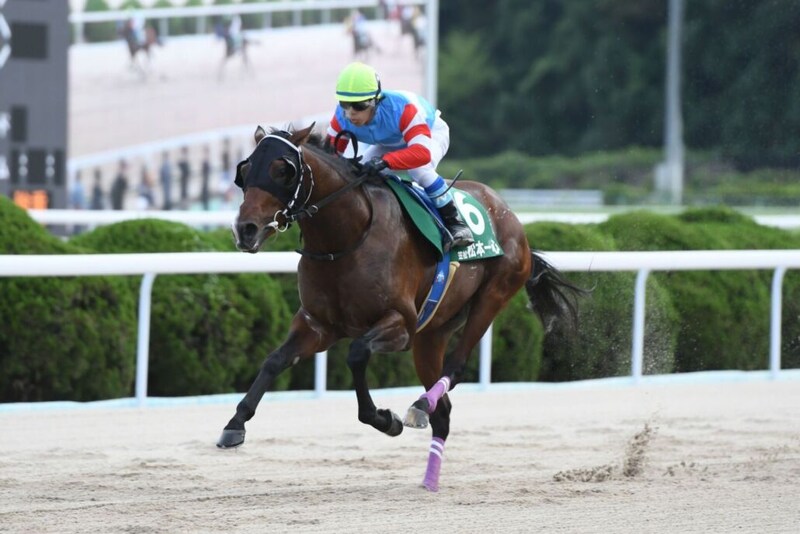 【YJSトライアル佐賀】松本一心＆青海大樹が主役、西日本地区ポイント争い激化