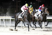 【YJSトライアル船橋】地方・山本大翔とJRA・横山琉人が白星発進