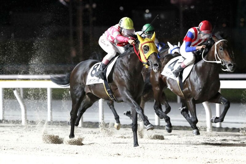 【YJSトライアル船橋】地方・山本大翔とJRA・横山琉人が白星発進