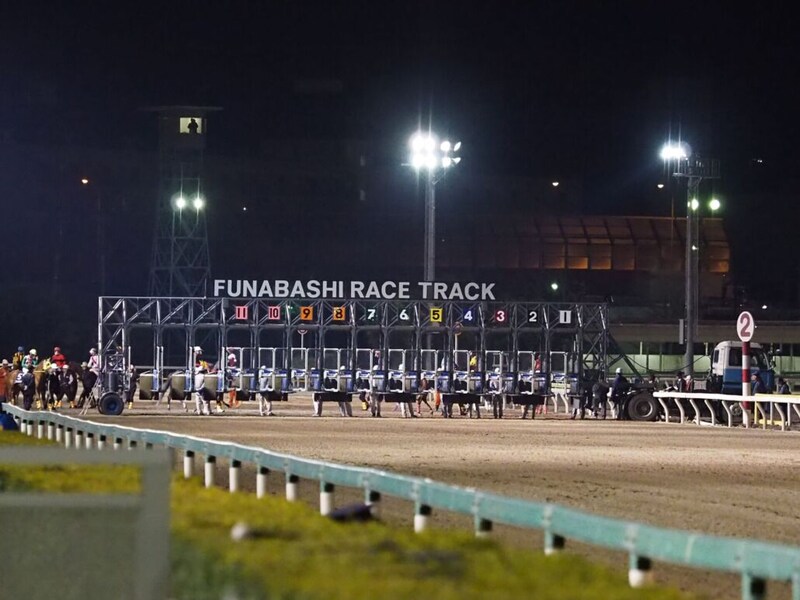 【マリーンC】船橋所属プラウドフレールが鮮やかな逃げ切り…メモリアカフェは2着