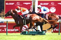 【凱旋門賞】坂口智康調教師「多少の道悪ならこなせる」…ビザンチンドリーム、凱旋門賞へ自信の仕上げ