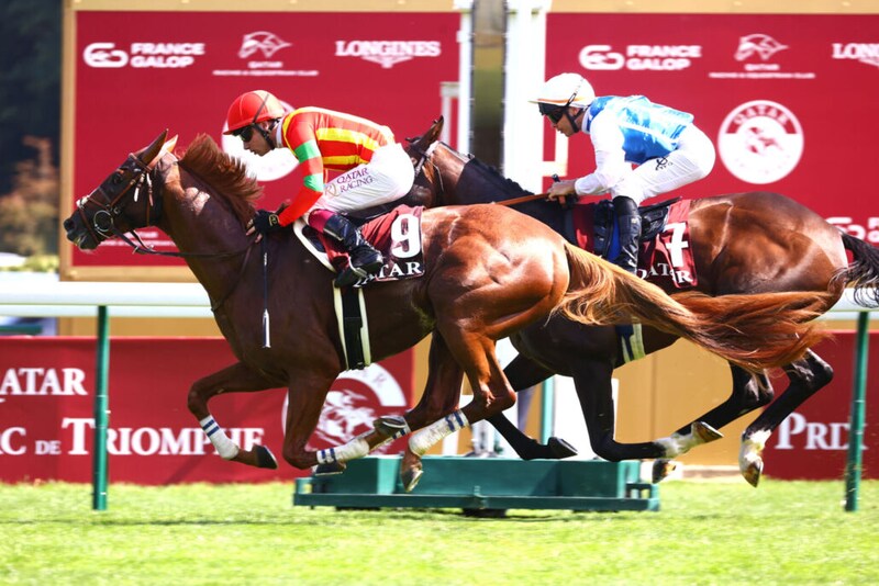 【凱旋門賞】坂口智康調教師「多少の道悪ならこなせる」…ビザンチンドリーム、凱旋門賞へ自信の仕上げ