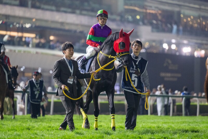 【東京盃】クロジシジョーなどJRA馬5頭
