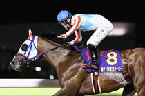 【JDC】ナチュラルライズはダート三冠がかかる一戦