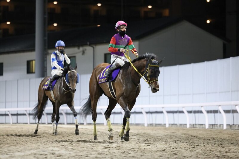 【レディスプレリュード】テンカジョウなどJRA馬5頭
