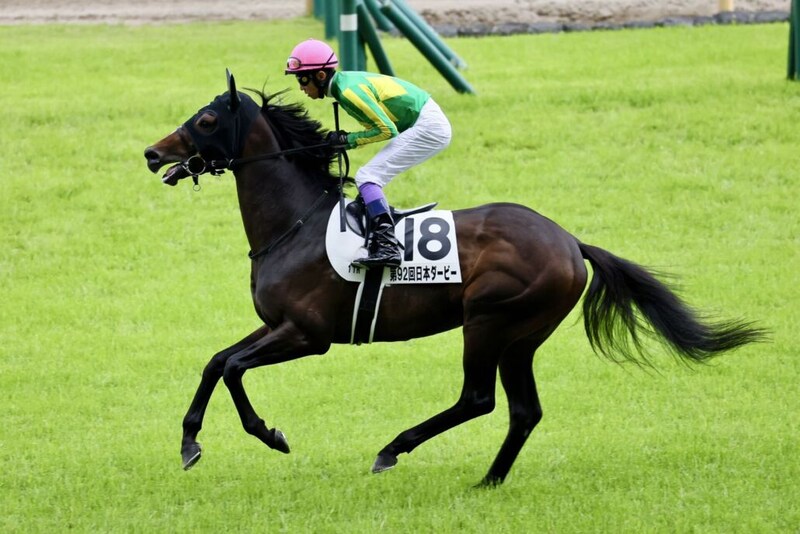 武豊騎手 今週の騎乗馬…毎日王冠ではサトノシャイニングとのコンビ