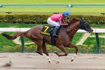 【グリーンチャンネルC】オメガギネスが同レース2勝目…豪快に突き抜ける